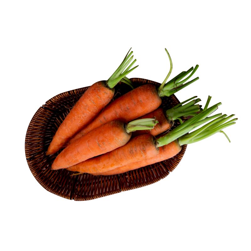 ZANAHORIAS-NUTRIENTES-Y-BENEFICIOS-PRINCIPAL