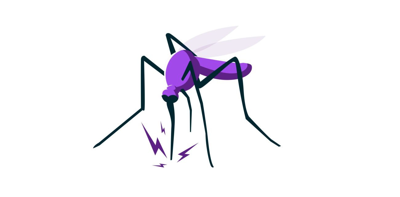 foto-mosquito-antiparasianrios-peluchos-mascotas